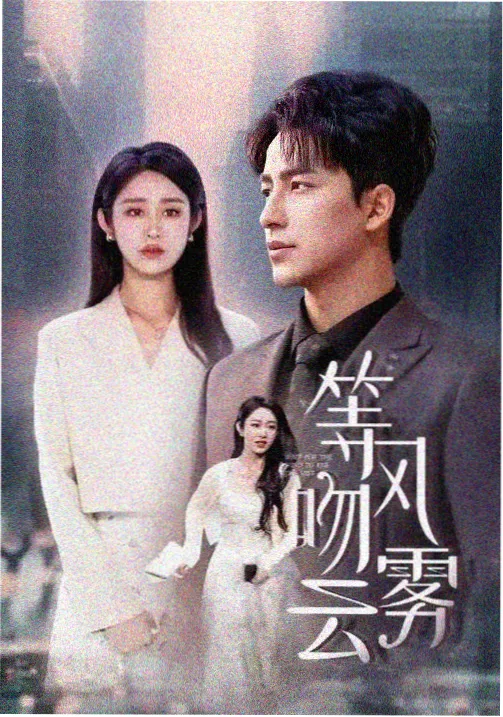 职场姐妹剧 女性群像